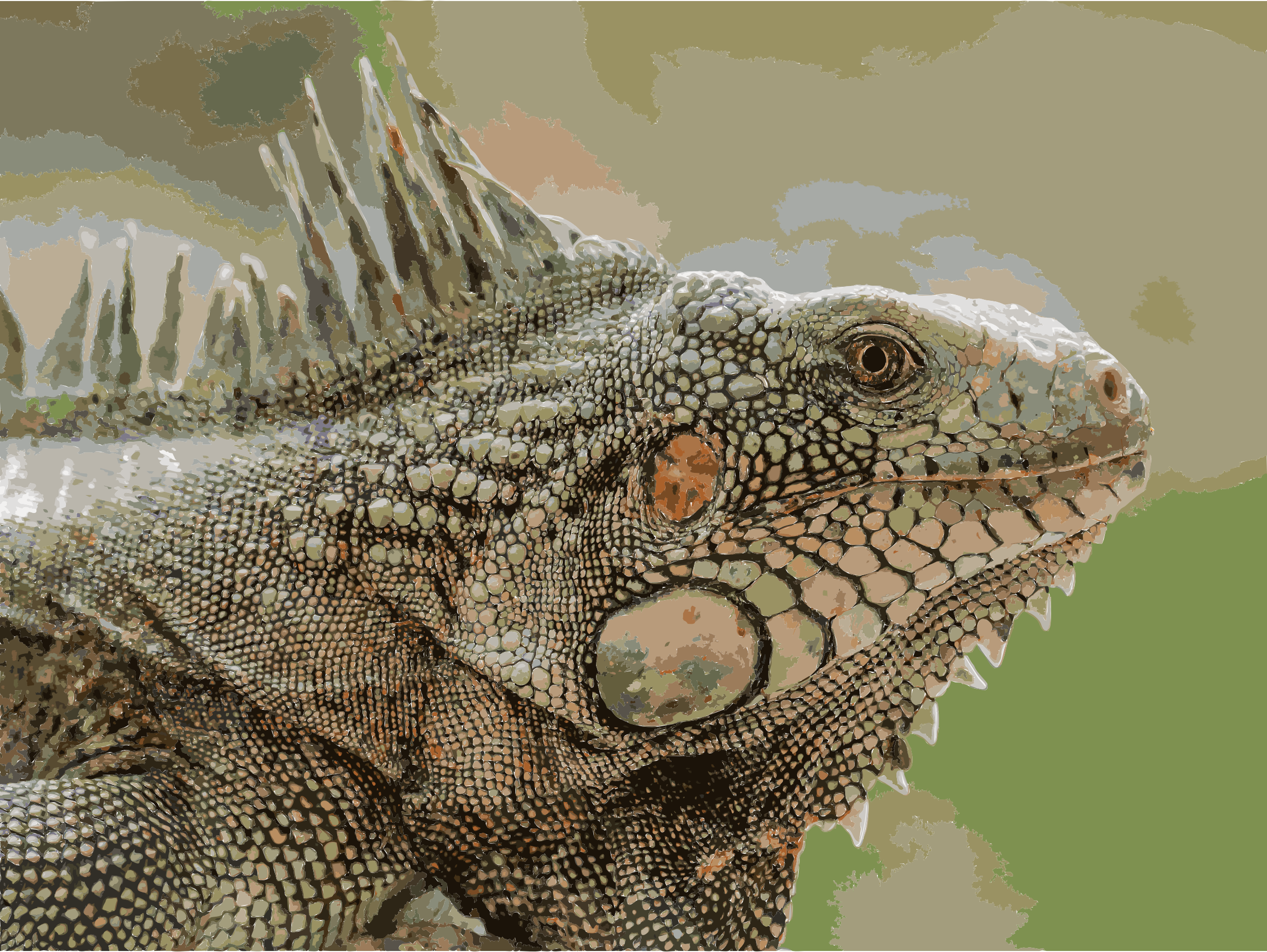 This Free Icons Png Design Of Iguana De Venezuela (2400x1804), Png Download