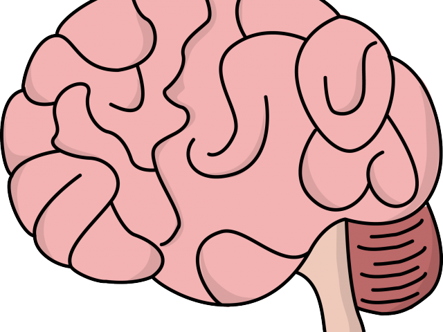 human brain cartoon clip art