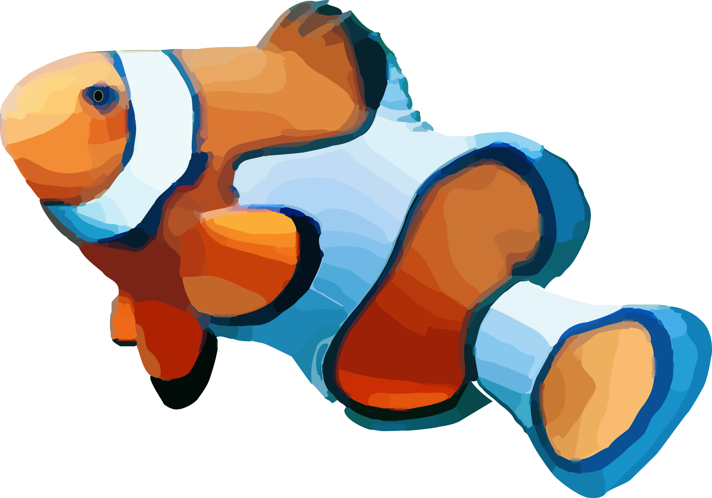 Download Big Image - Clownfish Transparent Background PNG Image with No ...