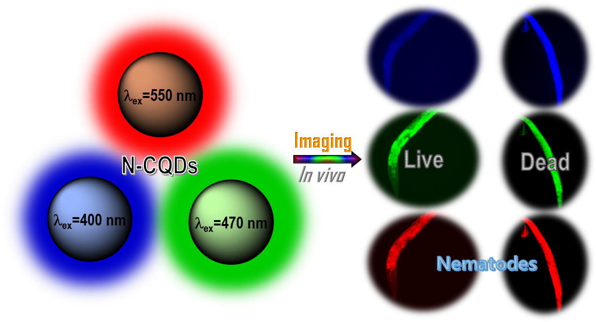 Jebakumar Immanuel Edison, Thomas Nesakumar - Circle (1220x655), Png Download