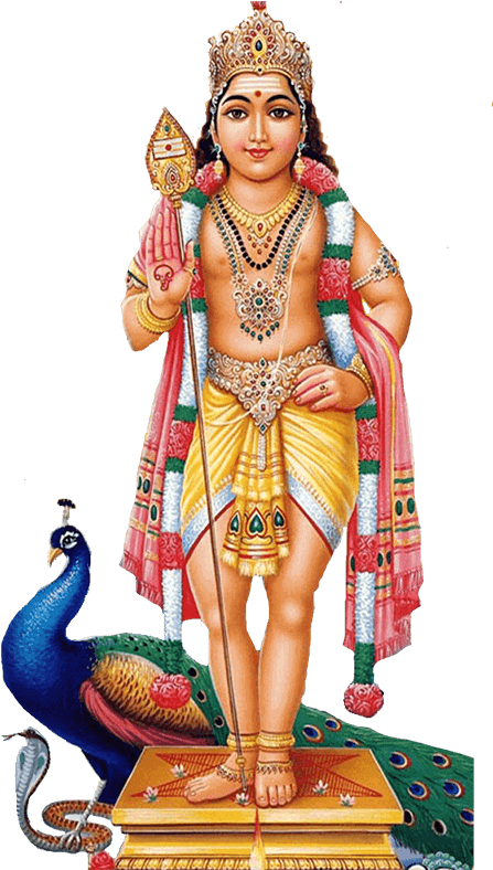 Lord Kartikeya - God Murugan - Free Transparent PNG Download - PNGkey