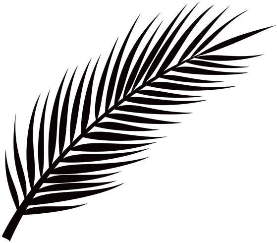 Picture - Palm Leaf Png Free - Free Transparent PNG Download - PNGkey