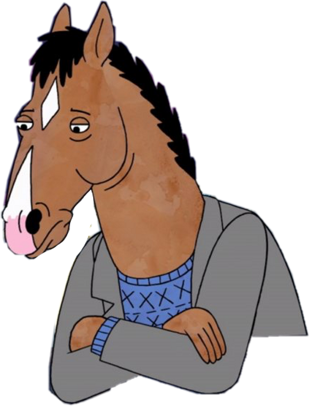 Бо джек. БОДЖЕК. Конь BOJACK. Лошадь БОДЖЕК. БОДЖЕК Хорсмен.