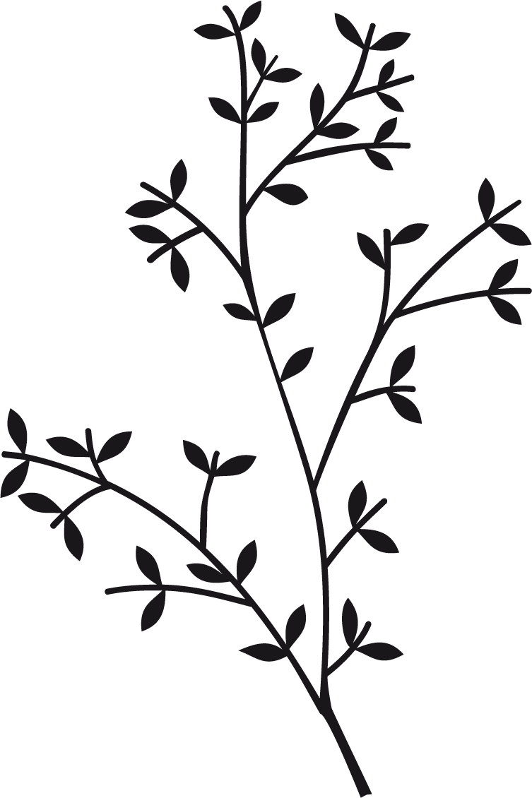 Download Vinilo Decorativo Rama3 - Twig PNG Image with No Background ...