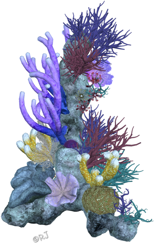 Download Pin Coral Reef Clipart Png Coral Reefs Png Png Image With No