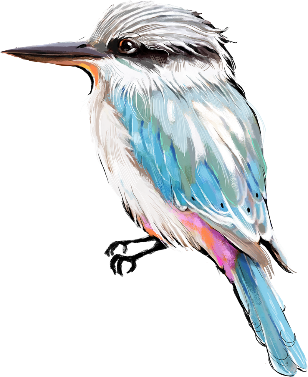 New Birds Crop Png - Free Transparent PNG Download - PNGkey