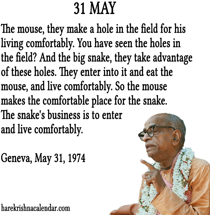 Download 31 May - Quotes About May 31 PNG Image with No Background ...