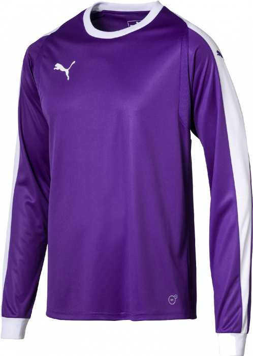 puma goalkeeper jersey