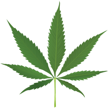 Download Pot Leaf PNG Image with No Background - PNGkey.com