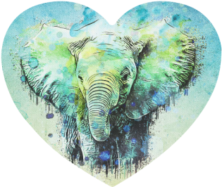 elephant heart backgrounds