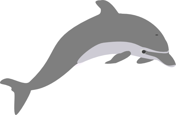 Download Dolphin Dolphin Clipart Transparent Png Image With No Background Pngkey Com