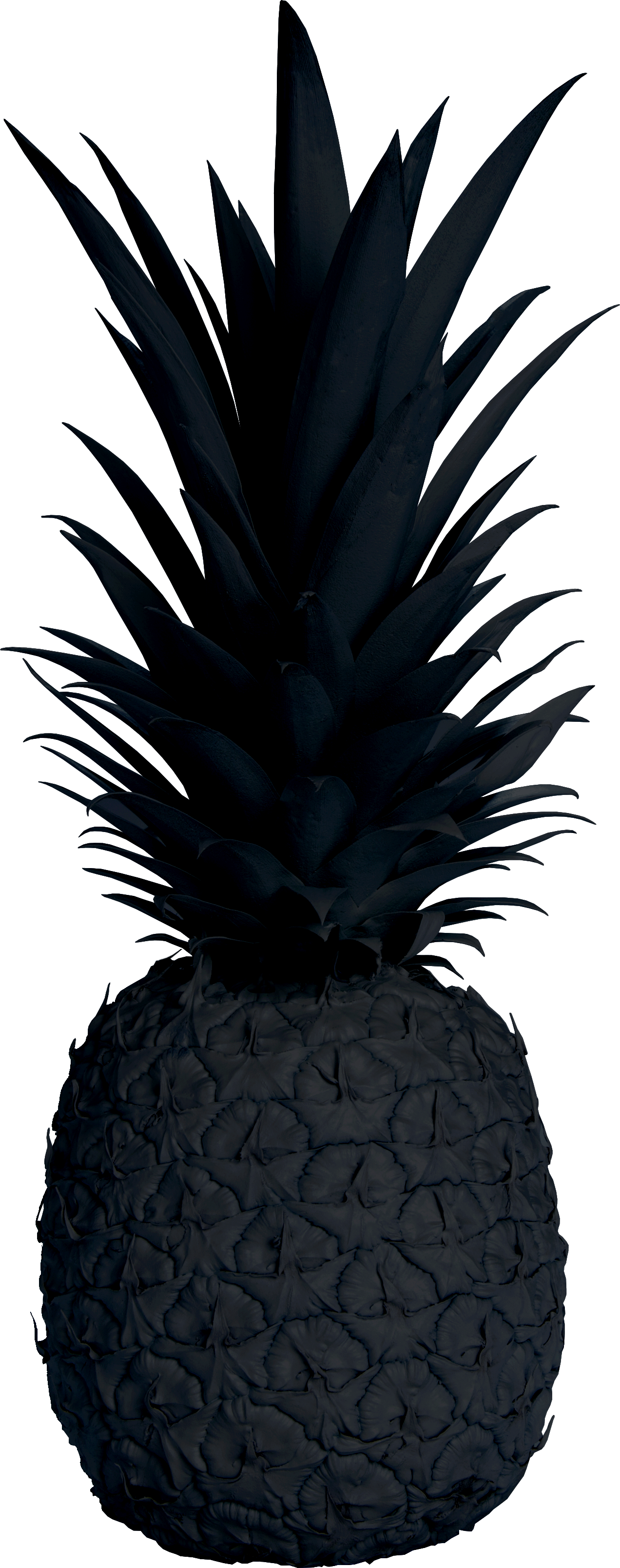 Download Home Pineapple Transparent Black Png Image With No Background Pngkey Com