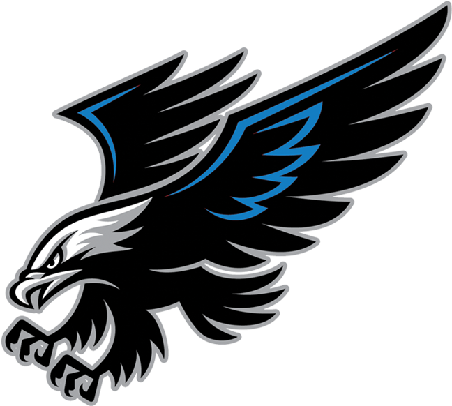 Hawk Decals - Free Transparent PNG Download - PNGkey