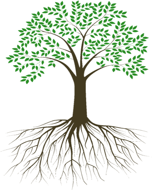 Download About Us - Tree With Roots Black And White PNG Image with No ...