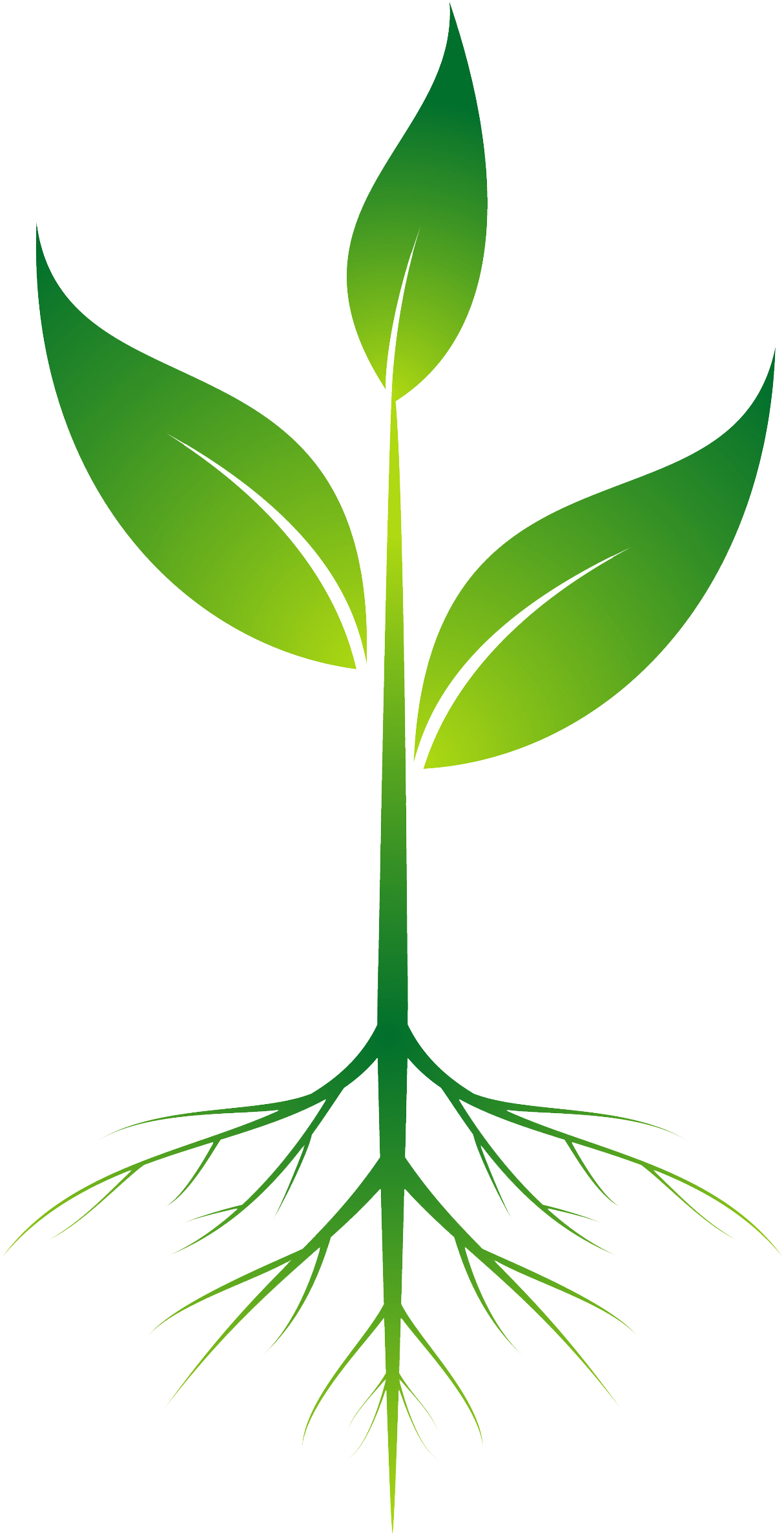 Download Root Plant Clip Art Plant With Roots Png Png Image With No Background 1445