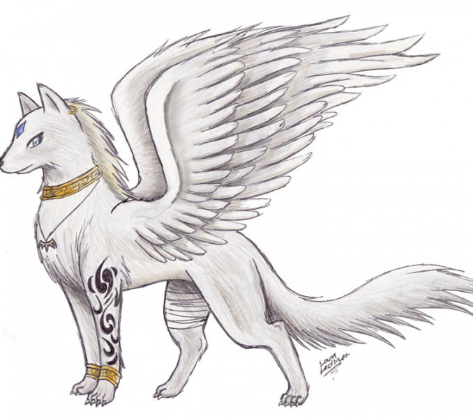 Download Awesome Drawings Anime Wolf With Wings Wolf With