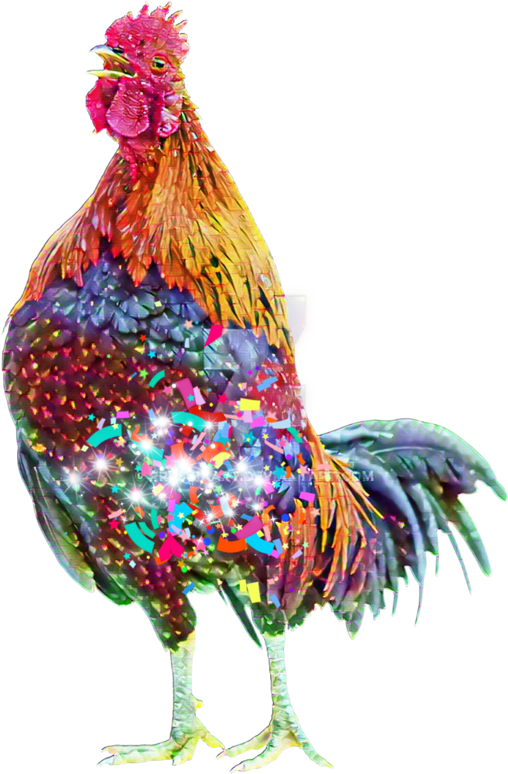 Rooster (860x1216), Png Download
