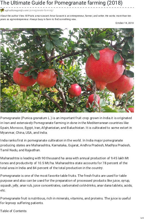 download pdf pomegranate png image with no background pngkey com pngkey