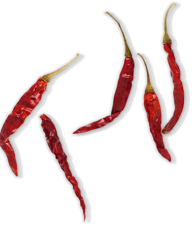 Pepper Chilli Png Top View Free Transparent Png Download Pngkey