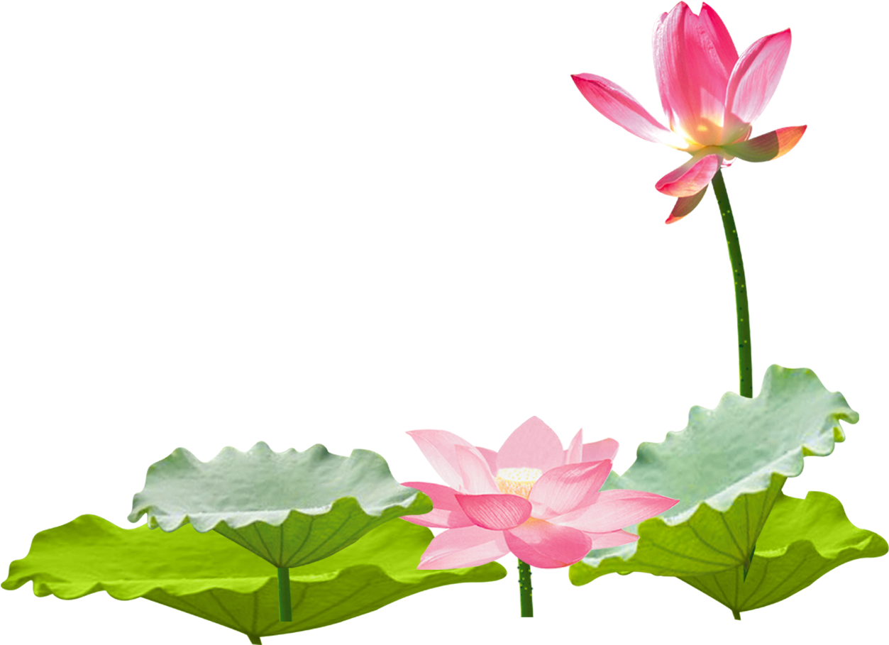 Hình dán hoa sen Á-đông là một sản phẩm độc đáo mang đến một không gian trang trí ánh sáng và mang đến nhiều ý nghĩa đặc biệt của hoa sen. Hãy chiêm ngưỡng những tác phẩm nghệ thuật đầy sáng tạo và thật tuyệt vời của các nghệ sĩ đến từ Á Đông.