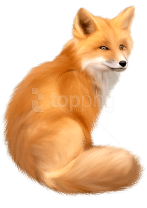Free Png Download Fox Png Images Background Png Images - Fox Png (480x666), Png Download