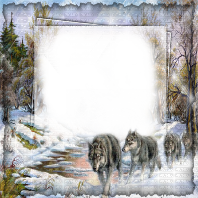 Download Winter Forest Wolf Frame Cadre Hiver Loup - Png De Frames ...