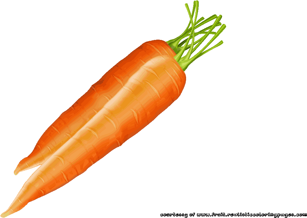 baby carrots clipart