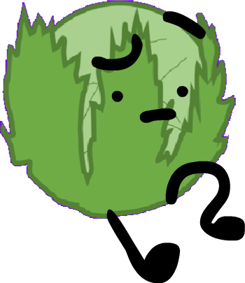 Download Cabbage-bfdi2 - Wiki Png Image With No Background - Pngkey.com