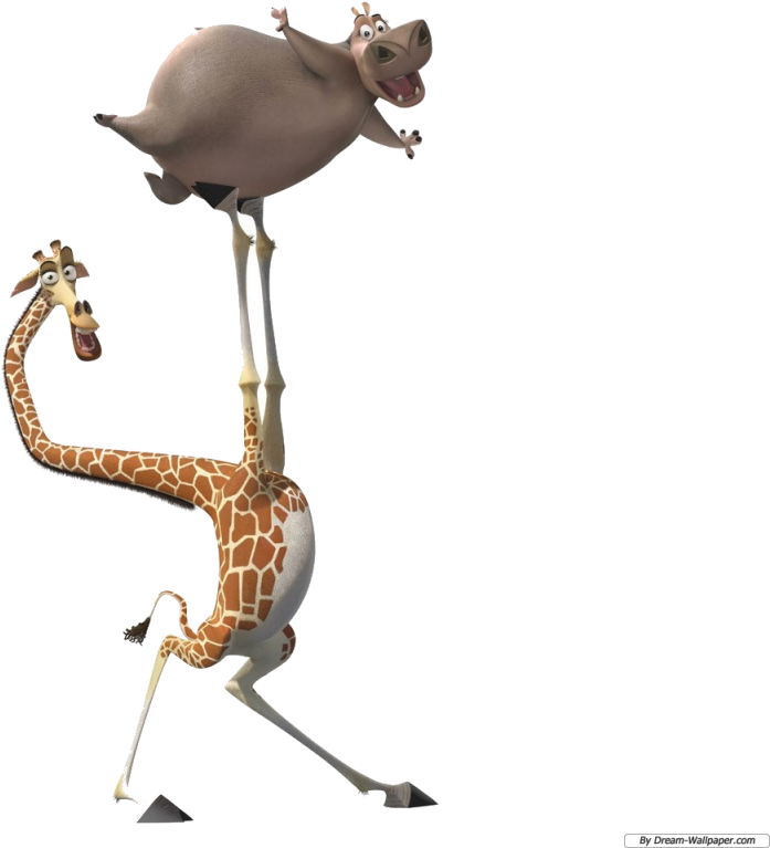 Бегемот и жираф из мадагаскара фото