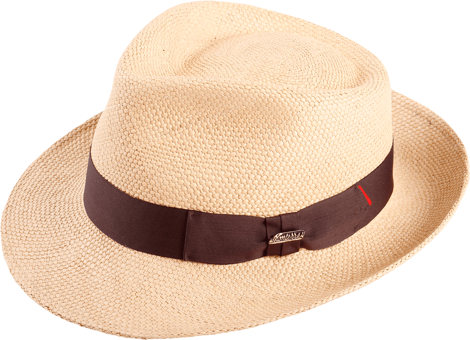 Download Paja Brisa Fedora PNG Image with No Background