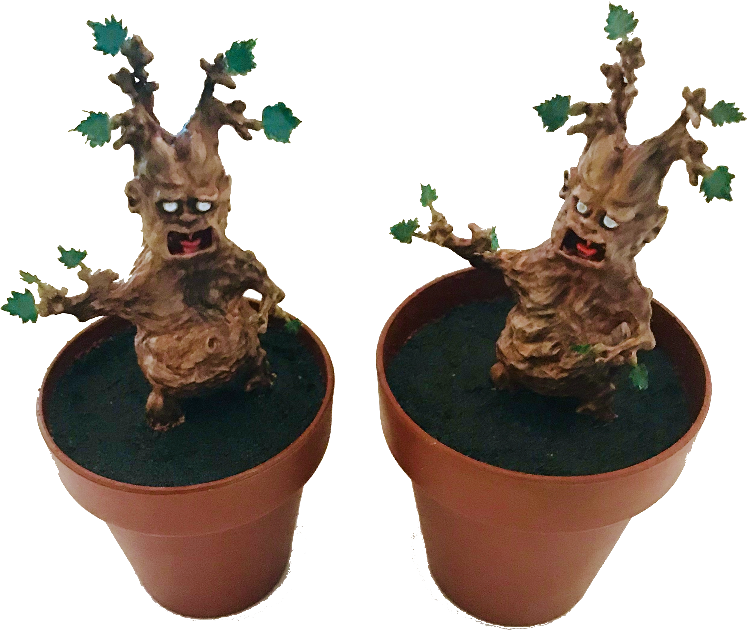 Mandrake Seedling - Flowerpot (2628x2334), Png Download
