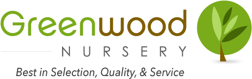 Download Greenwood Nursery Logo - Greenwood Nursery PNG Image with No ...