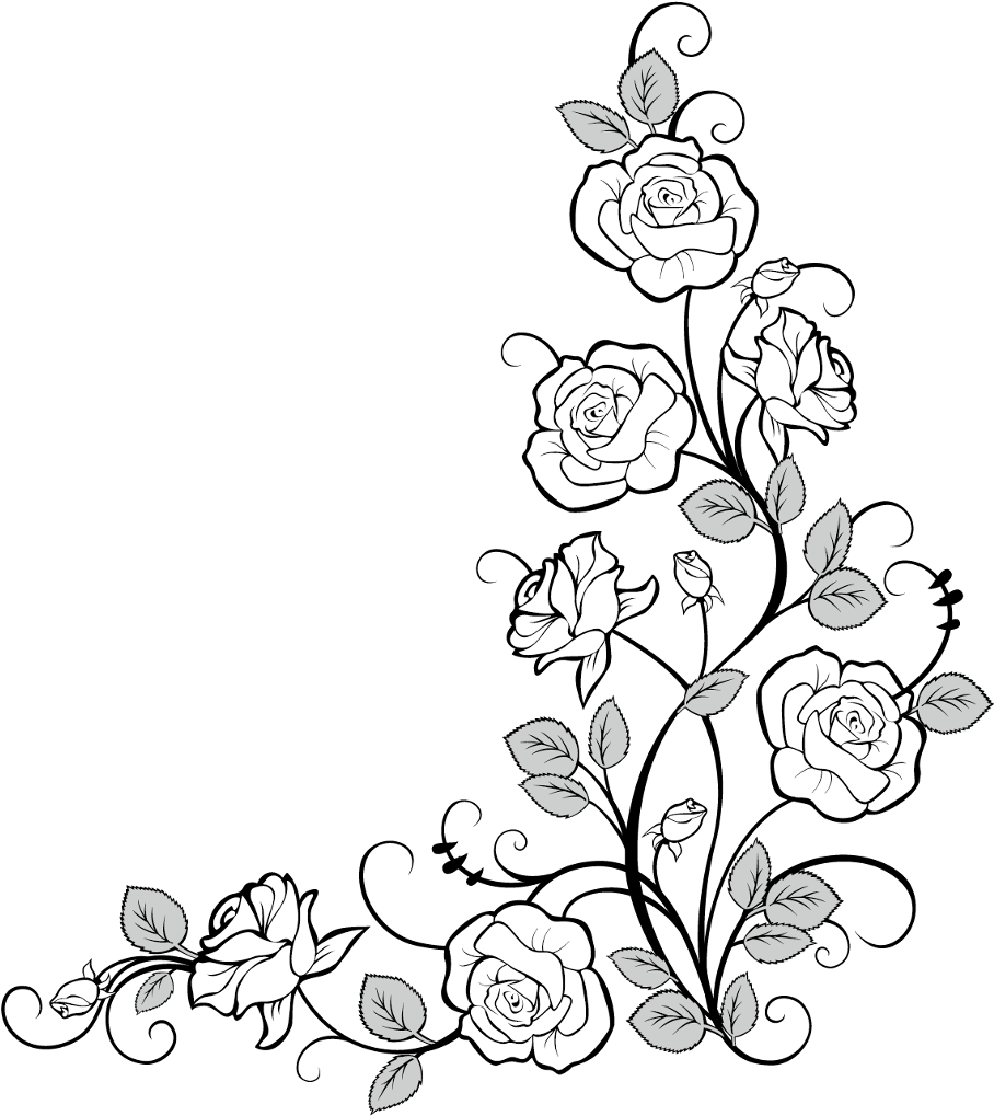 Rose Sketch On White Background Stock Illustration - Download Image Now -  Abstract, Beauty, Black Color - iStock, Rose Stencil - valleyresorts.co.uk