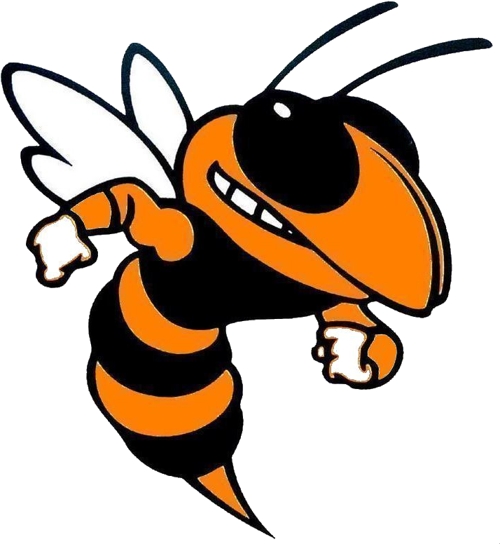 Download Btw Hornets PNG Image with No Background - PNGkey.com