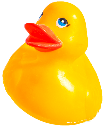 Download Bath Toy Png Image With No Background - Pngkey.com