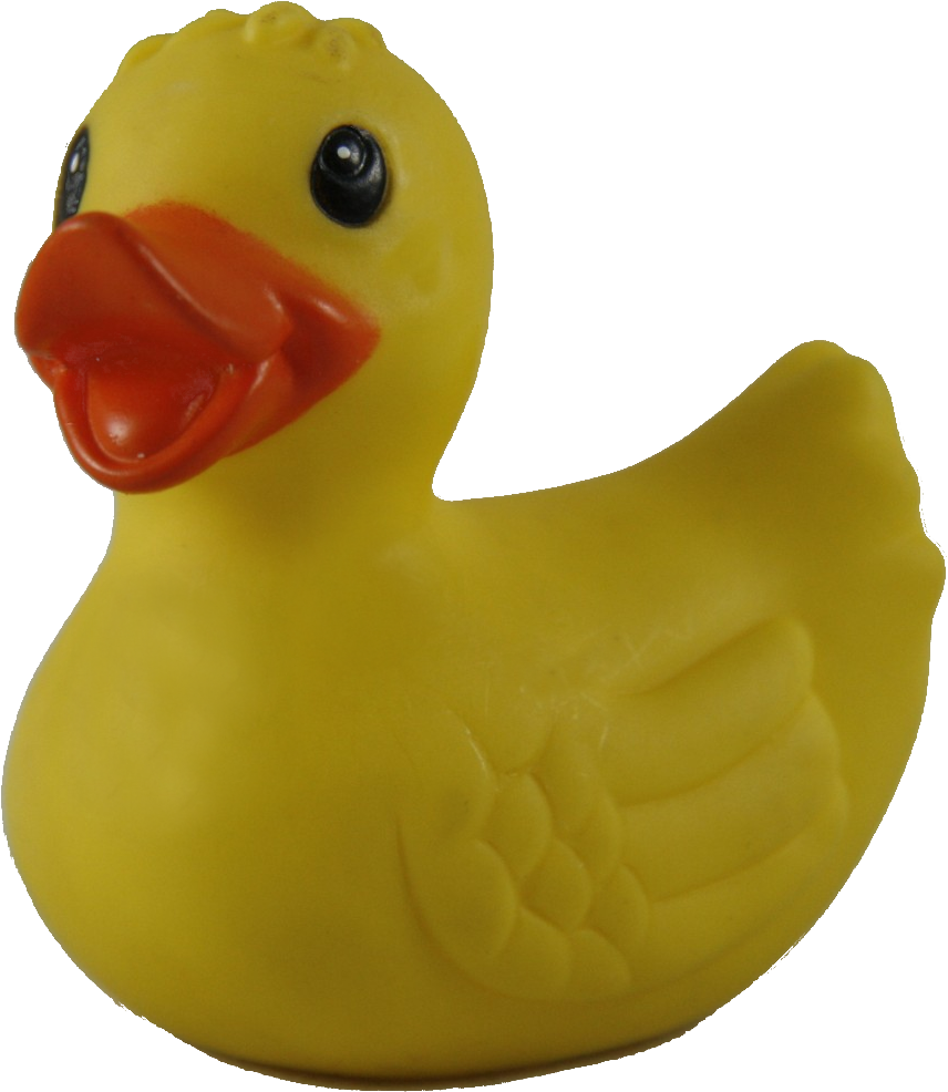 Rubber Duck - Free Transparent PNG Download - PNGkey