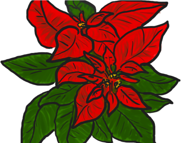 Download Garland Clipart Poinsettia - Poinsettia PNG Image with No ...