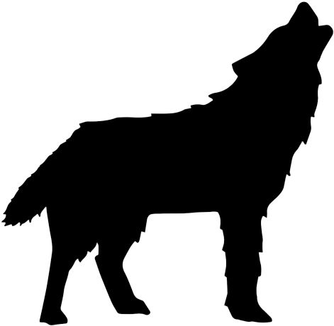 Download Wolf - Alpaca Black And White Png PNG Image with No Background ...