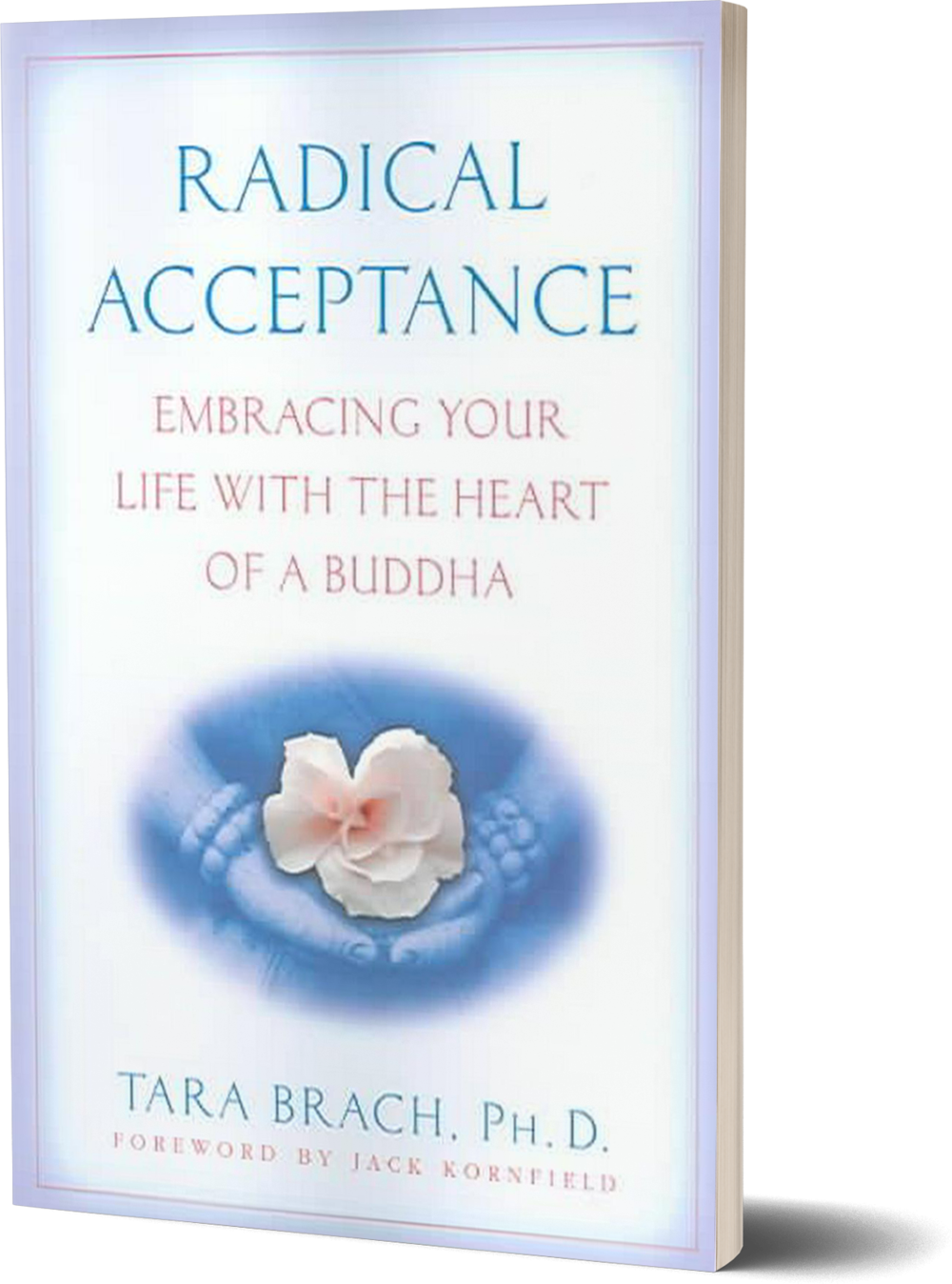 Download Embracing Your Life With The Heart Of A Buddha - Radical ...