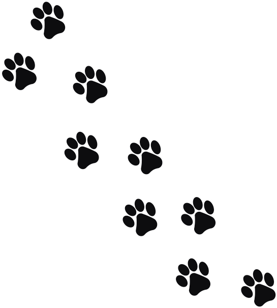 Download Track 2 - Huellas De Gato Png PNG Image with No Background ...