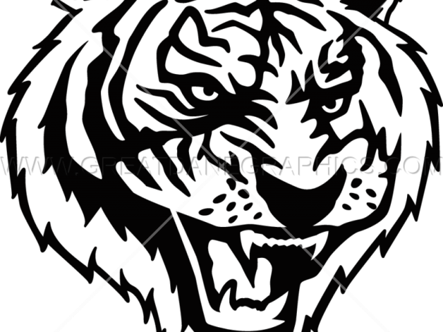 Download Drawn White Tiger Transparent - Illustration PNG Image with No ...