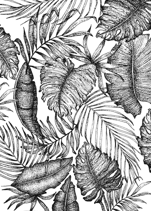 Download Bleed Area May Not Be Visible - Tropical Leaf Print Drawing ...