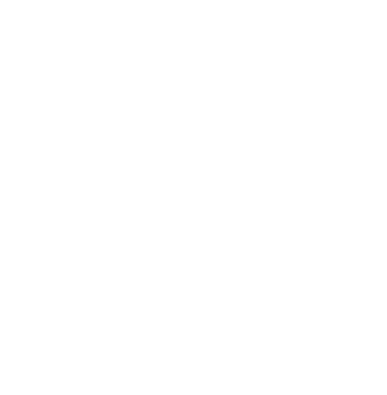 Download Spartan Performance Logo Bsi Ncaa Michigan State 3 X 5 Flag W Grommets Green White Png Image With No Background Pngkey Com
