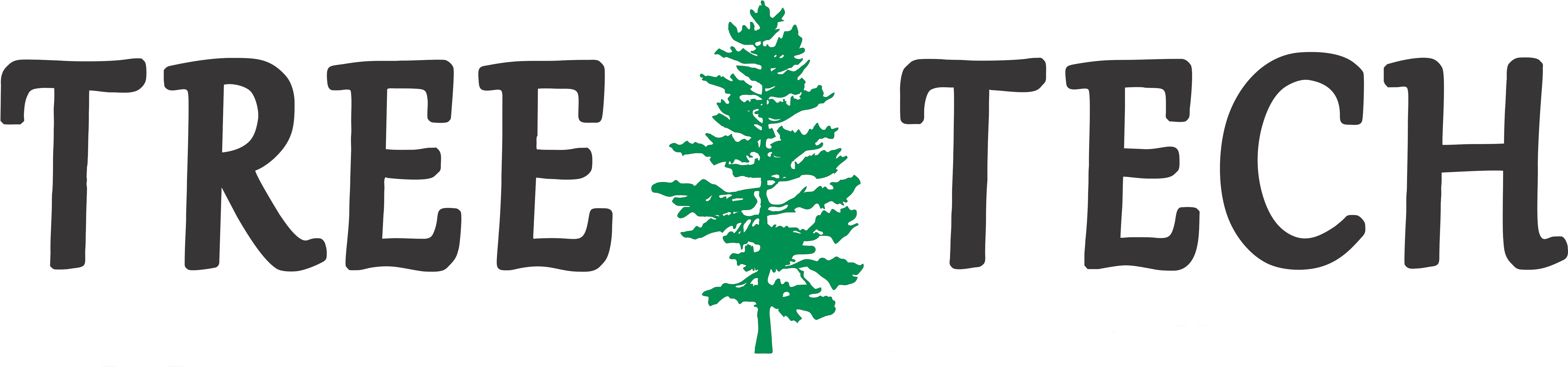 Download Tree Tech - White Pine PNG Image with No Background - PNGkey.com