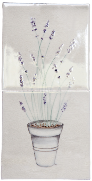 Planter Lavender - Houseplant (720x720), Png Download