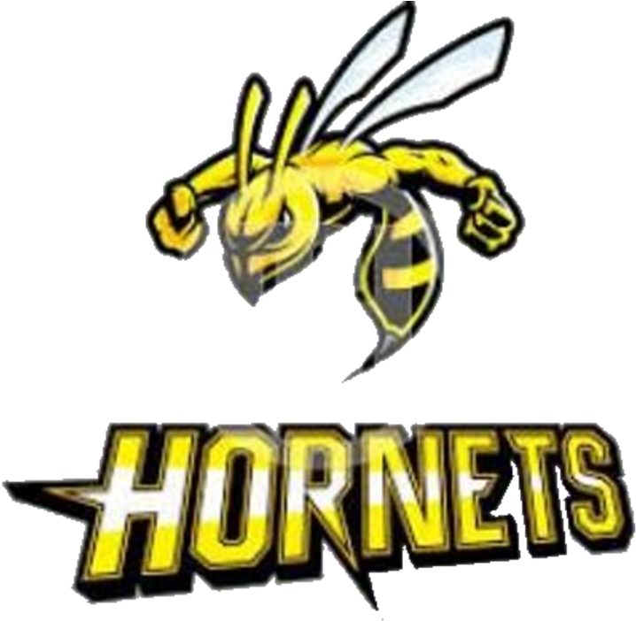 Download The Surrattsville Hornets Vs - Clarksville Generals Logo PNG ...